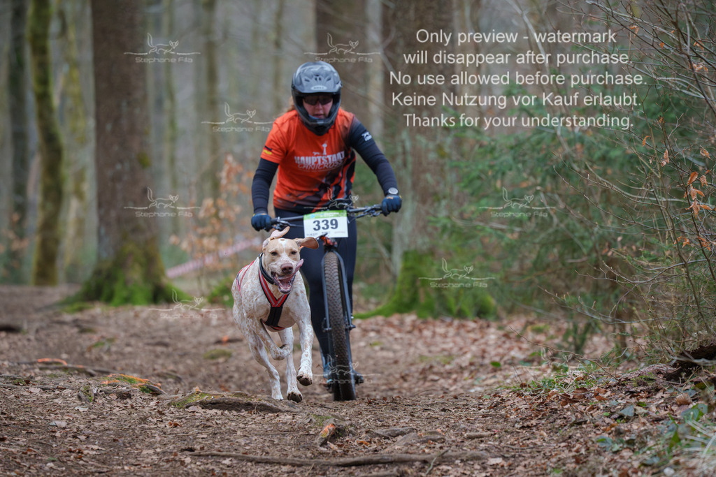 Scooter_So-74 | stephaniefillaphotographie - Realisiert mit Pictrs.com