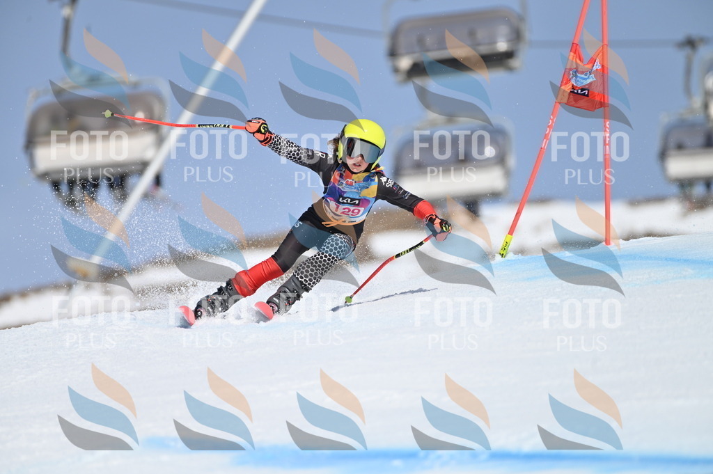 BGV_9962 | holidayphoto