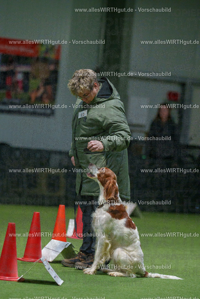 7R504802 | Professionelle Tierfotografie in Mönchengladbach von Daniel Wirth (allesWIRTHgut). Liebevolle & natürliche Bilder von Hunden & Katzen für unvergessliche Erinnerungen.