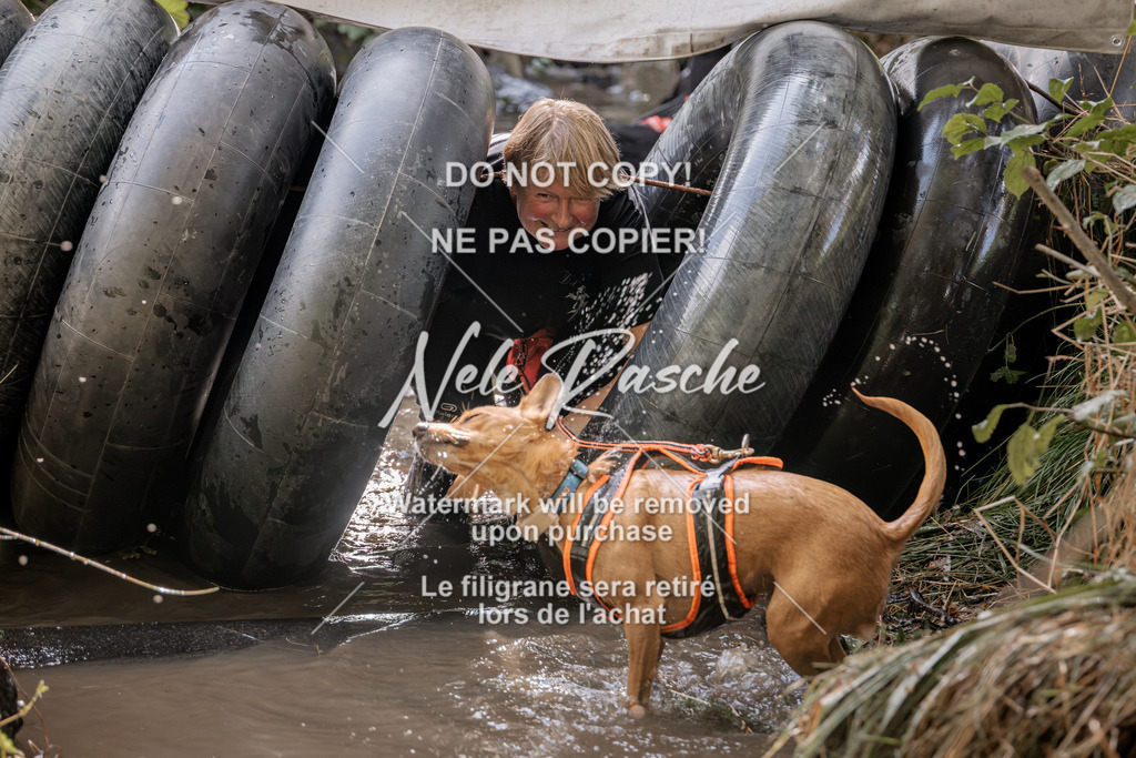 nelerasche_Hunsrück2026_Sa1400-1500_410 | nelerasche