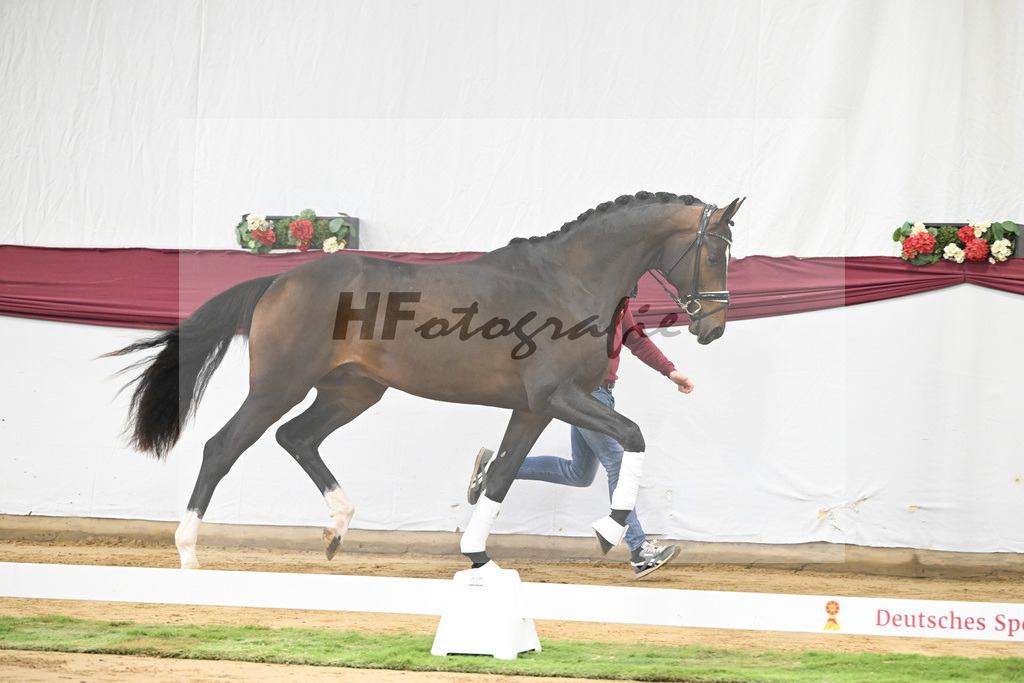 Kat-Nr. 13 Escaneno x De Niro-Christoph Wahler_47250210 | hf-fotografie - Realisiert mit Pictrs.com