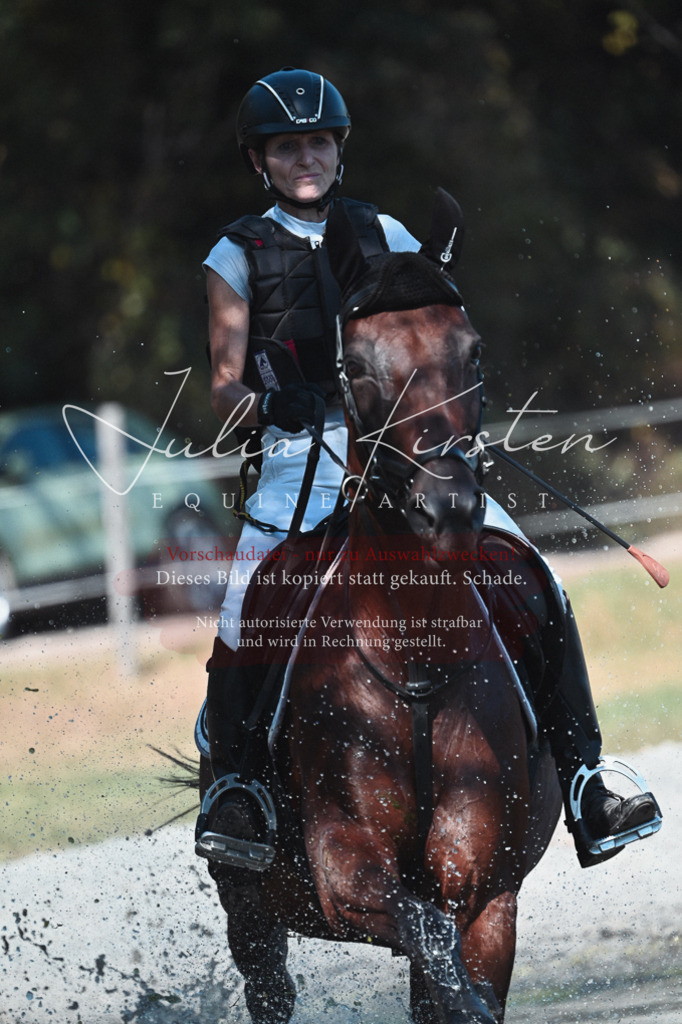 DSC_8525 | Pferde- und Turnierfotografie in Westsachsen. Pferdeportraits, Auftragszeichnungen und intuitive Kunst.