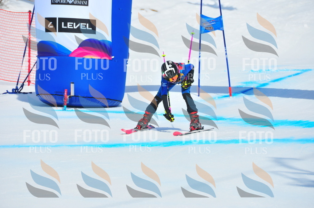 DSC_5135 | holidayphoto