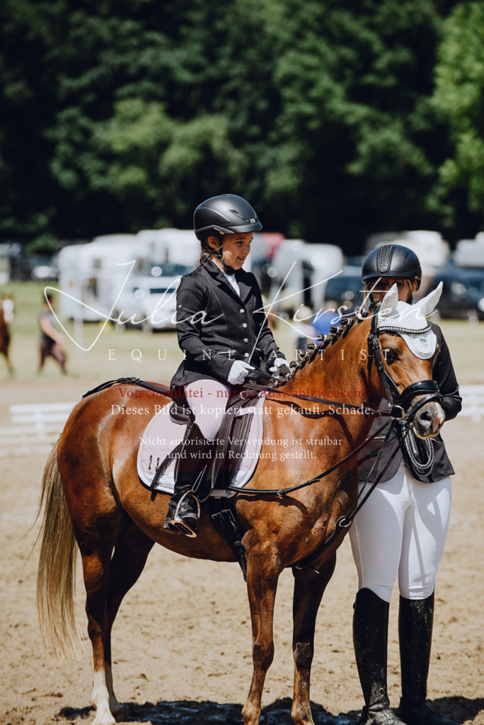 DSC_2410 | Pferde- und Turnierfotografie in Westsachsen. Pferdeportraits, Auftragszeichnungen und intuitive Kunst.