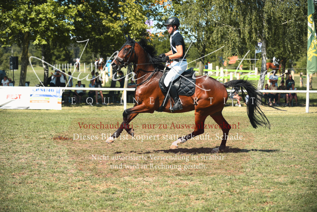 DSC_6988 | Pferde- und Turnierfotografie in Westsachsen. Pferdeportraits, Auftragszeichnungen und intuitive Kunst.