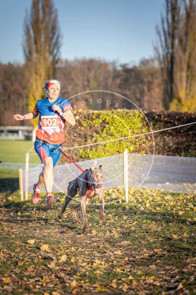 CaniXpix_DV3A4633 | Hundefotografie, Tierfotograf, Pfotenfotografie, Fotoshooting Hund, Hunde Portrait, Hundesport, Hundeportraits, Heideshooting, Hunde, Sportfotograf, Hundefotograf, Turnierhundsport, THS,  - Realisiert mit Pictrs.com