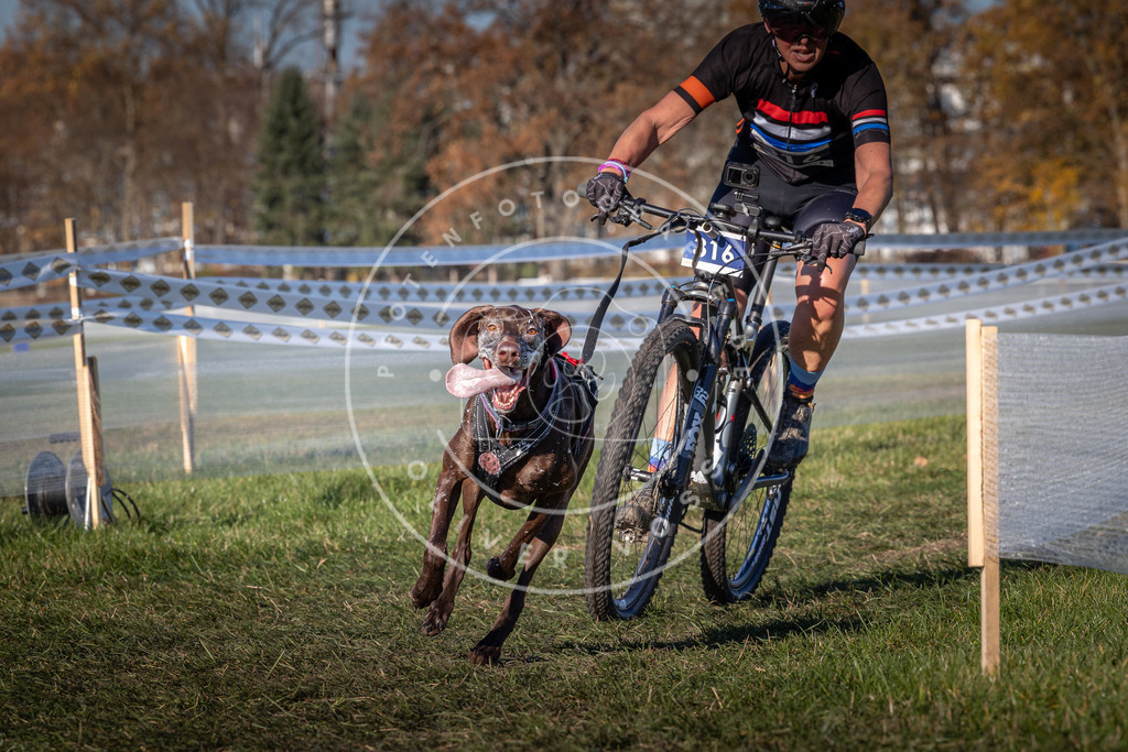 CaniXpix_0L8A5631 | Hundefotografie, Tierfotograf, Pfotenfotografie, Fotoshooting Hund, Hunde Portrait, Hundesport, Hundeportraits, Heideshooting, Hunde, Sportfotograf, Hundefotograf, Turnierhundsport, THS,  - Realisiert mit Pictrs.com