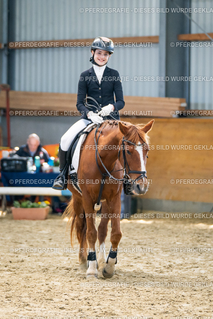 DSC01699 | Pferdegrafie