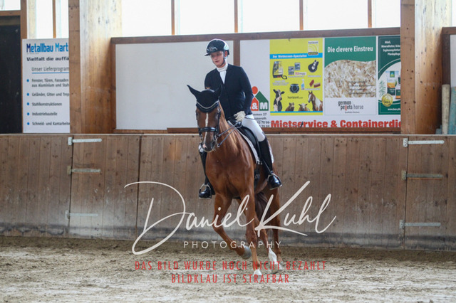 DKP45707 | Turniersportfotografie; Pferdefotografie; Dressurfotografie