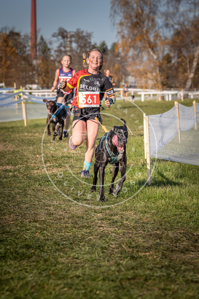 CaniXpix_0L8A7838 | Hundefotografie, Tierfotograf, Pfotenfotografie, Fotoshooting Hund, Hunde Portrait, Hundesport, Hundeportraits, Heideshooting, Hunde, Sportfotograf, Hundefotograf, Turnierhundsport, THS,  - Realisiert mit Pictrs.com