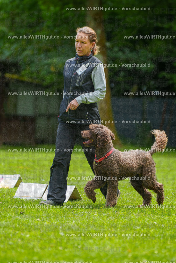 @allesWIRTHgut_Tierfotografie - www.allesWIRTHgut.de - 7R501150 | Professionelle Tierfotografie in Mönchengladbach von Daniel Wirth (allesWIRTHgut). Liebevolle & natürliche Bilder von Hunden & Katzen für unvergessliche Erinnerungen.