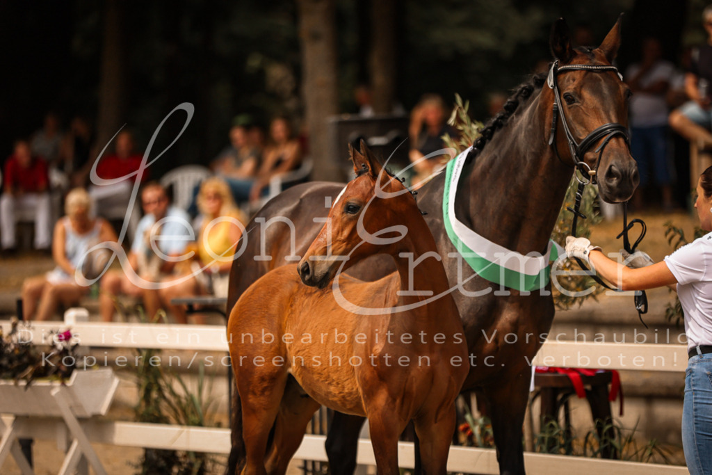 SaPA00019 | Leoni Ertmer Photography - Realisiert mit Pictrs.com