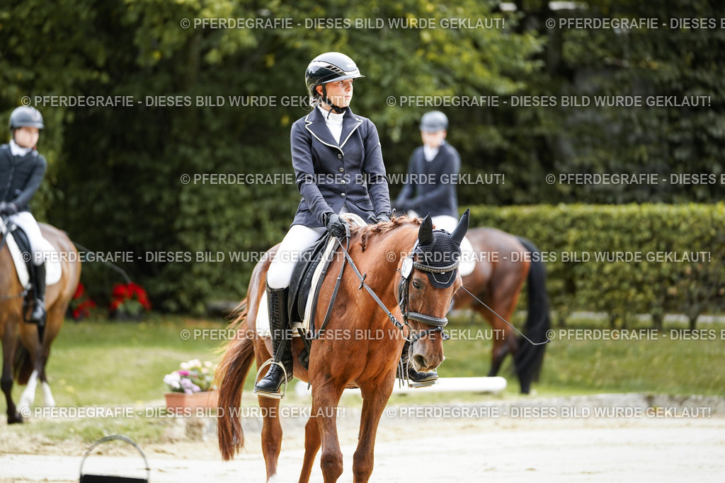 DSC04254 | Pferdegrafie