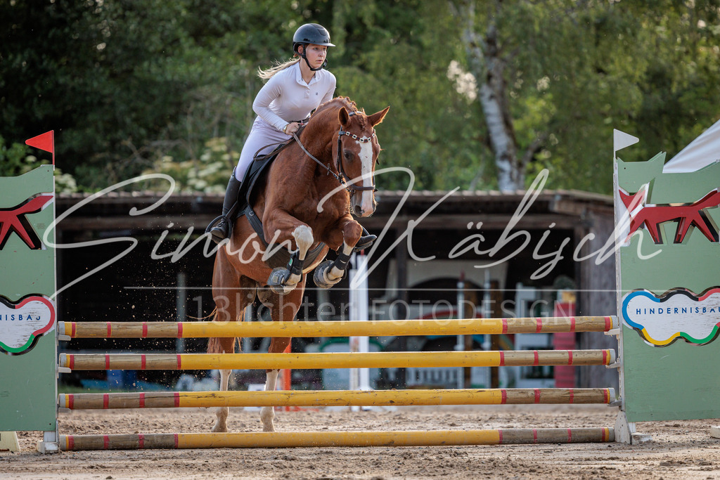 20260529-_3LI1436 | Tierfotografie Pferde, Hunde, Katzen, Haustiere.
Turnierfotografie Reitturniere, Reiten, Springreiten, Dressur in Hanau, dem Main-Kinzig-Kreis und dem Rhein-Main- Gebiet um Frankfurt