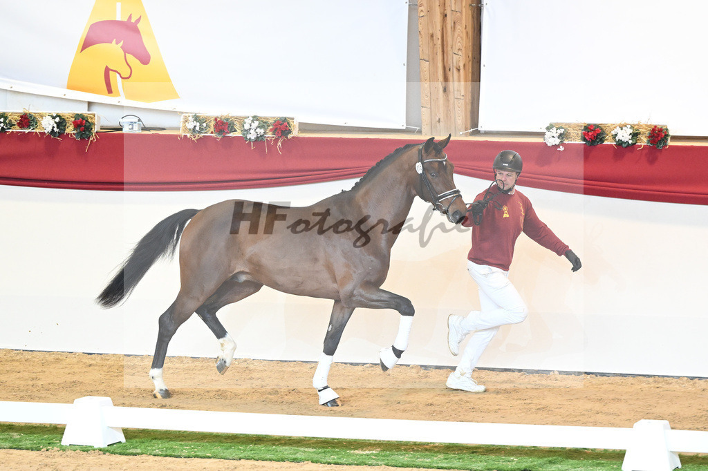 Kat-Nr. 75 Valverde_Schoenland_1230439 | hf-fotografie - Realisiert mit Pictrs.com