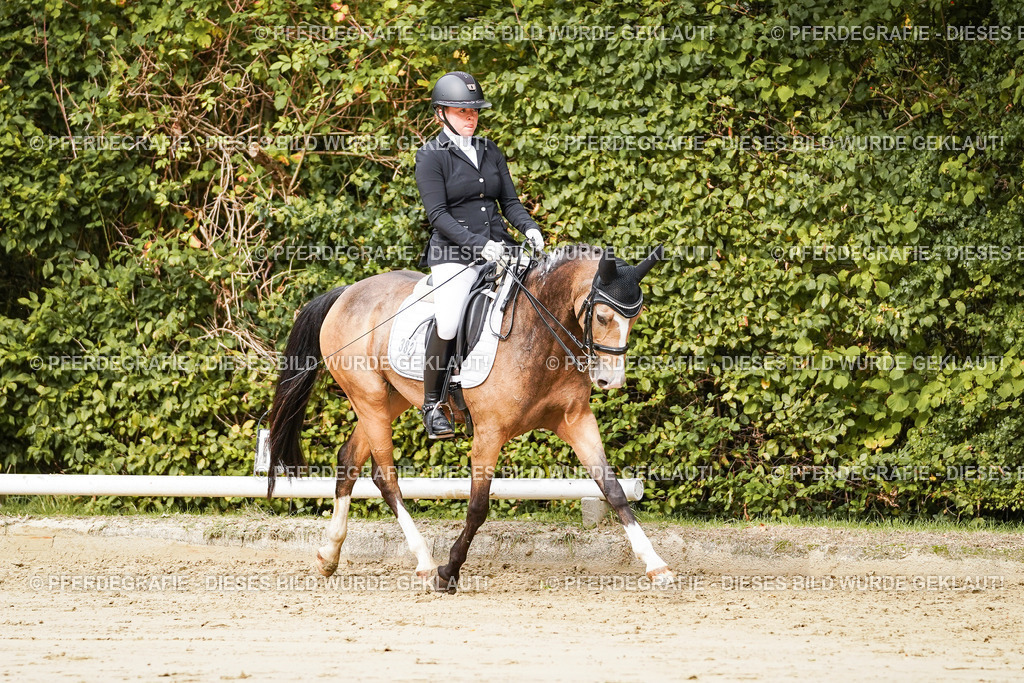 DSC02635 | Pferdegrafie