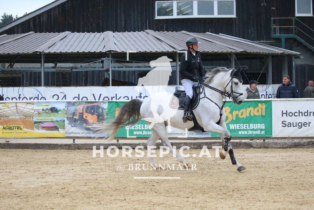 DL2Q3094 | Willkommen bei Brunnmayr - Design & Fotografie – Ihrem Spezialisten für Reitturniere und Pferdeveranstaltungen in Oberösterreich, Salzburg und Bayern! Seit über 17 Jahren sind wir leidenschaftlich dabei.