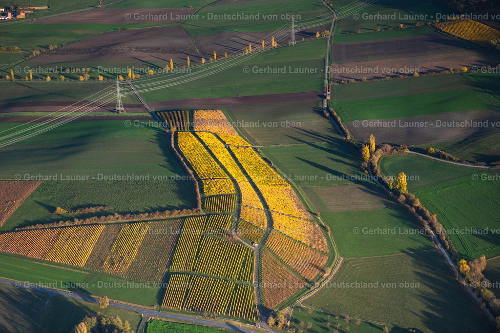 4042833 | Weinberge bei Castell, Weinlage Kirchberg, Hohnart