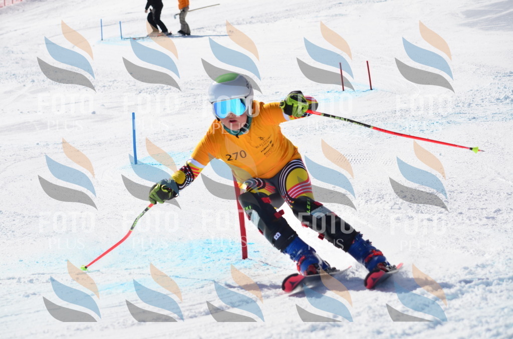 C8585 | holidayphoto