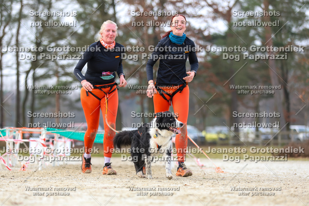 Dog Paparazzi - Strongdog North Mrz26-4038 | Dog Paparazzi Jeanette Grottendiek Fotografie & Videografie - Realisiert mit Pictrs.com