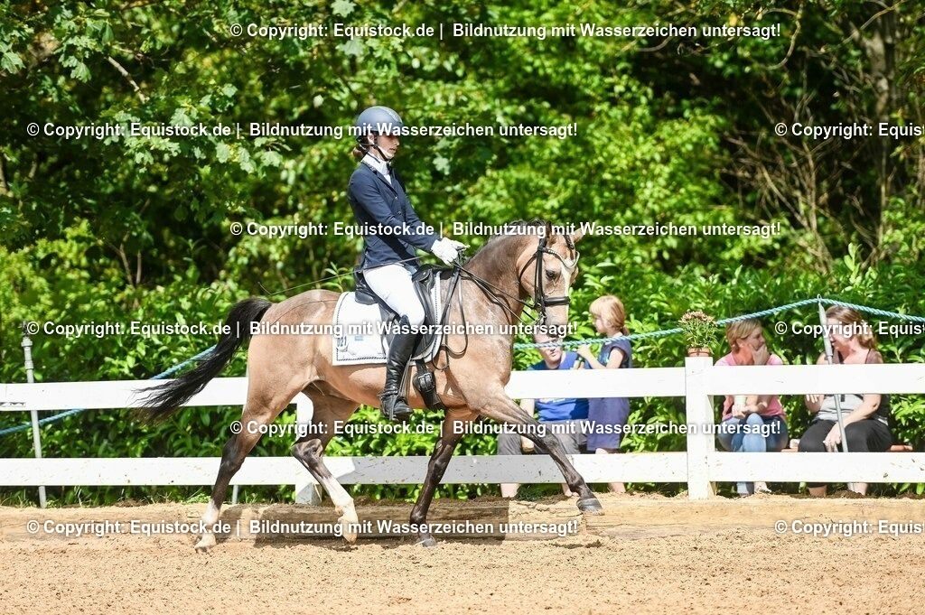 20230716_01_Dressurprüfung Kl.M_0202 | equistock