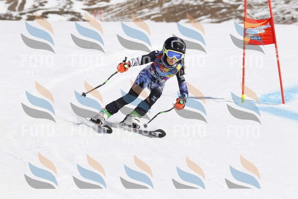 _U3G0922 | holidayphoto