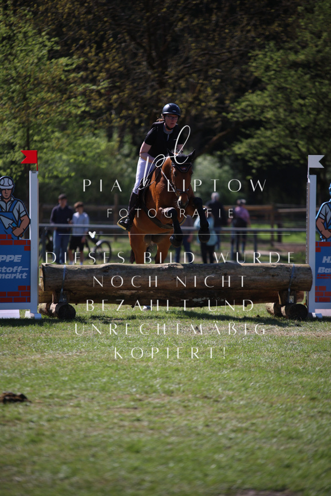 IMGT8859 | pl-fotografie