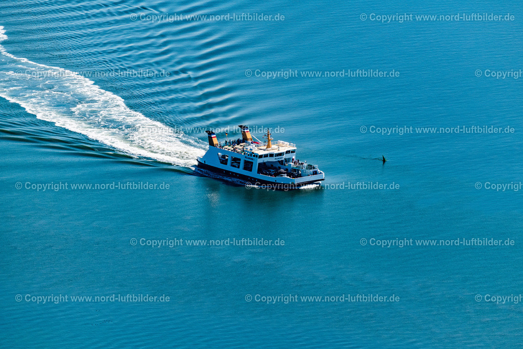 Pellworm_1_Peronen_und_Autofähre_Pellwormer_Dampfschiffahrtsgesellschaft_ELS_8058130822 | PELLWORM 13.08.2022 In voller Fahrt " Pellworm 1 " in Pellworm Nordfriesland im Bundesland Schleswig-Holstein, Deutschland. // At full speed "Pellworm 1" in Pellworm Nordfriesland in the state Schleswig-Holstein, Germany. Foto: Martin Elsen