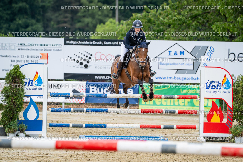 DSC04572 | Pferdegrafie