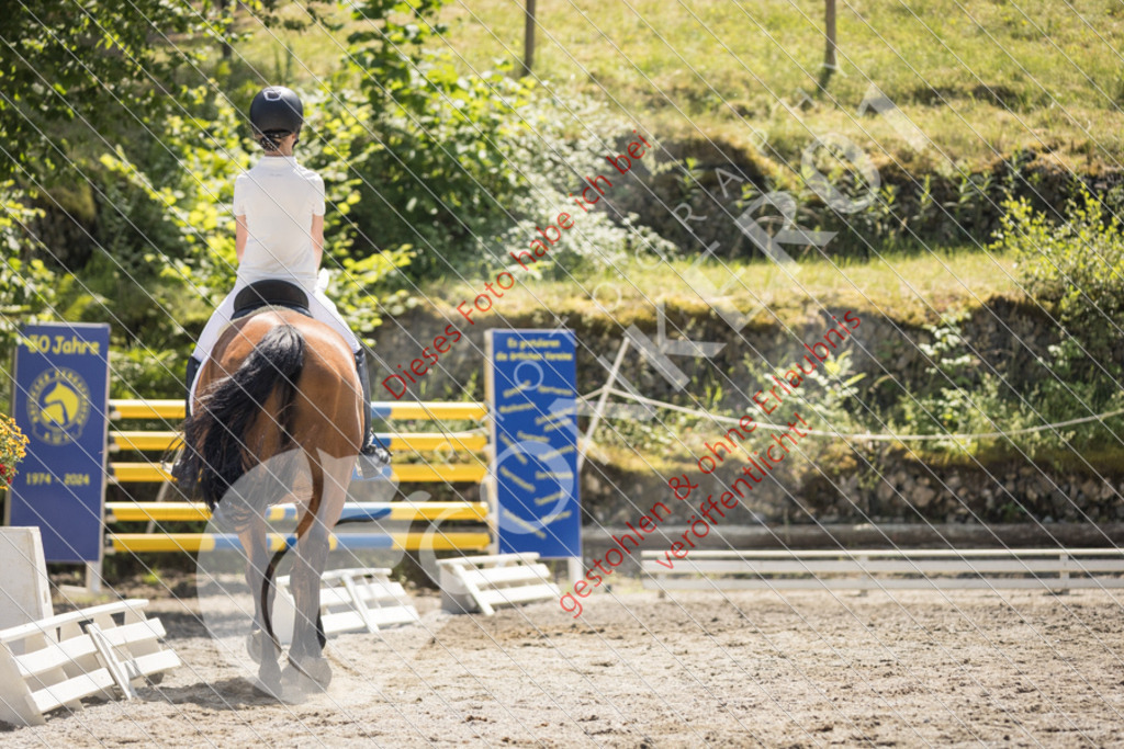 IMG_4587 | Sport-, Event- und Tierfotos in Profiqualität. Einfach auswählen, bestellen und herunterladen. Dein Moment – perfekt festgehalten.