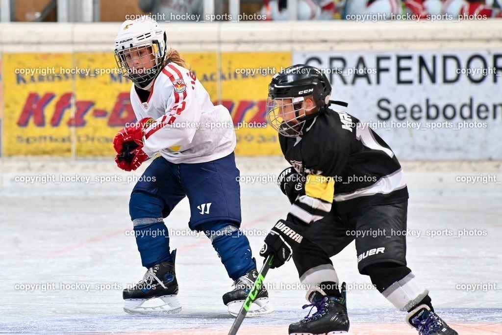 Dukes RINK Rumble Spittal a.d.Drau 9.-10.9.2023 | hockey sports photos, Pressefotos, Sportfotos, hockey247, win 2day icehockeyleague, Handball Austria, Floorball Austria, ÖVV, Kärntner Eishockeyverband, KEHV, KFV, Kärntner Fussballverband, Österreichischer Volleyballverband, Alps Hockey League, ÖFB, 
