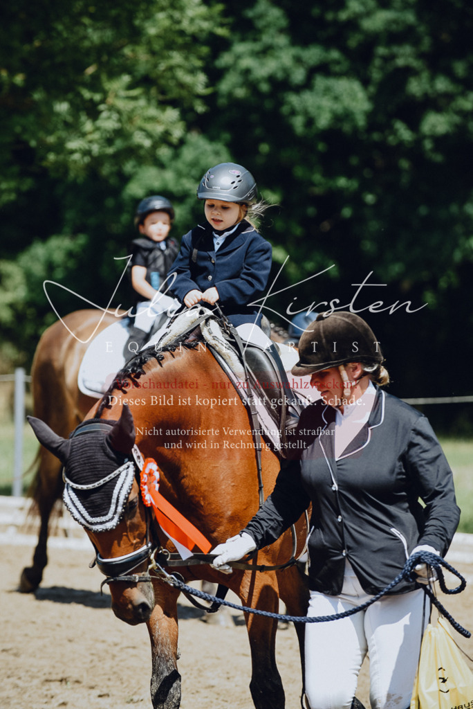 DSC_2718 | Pferde- und Turnierfotografie in Westsachsen. Pferdeportraits, Auftragszeichnungen und intuitive Kunst.