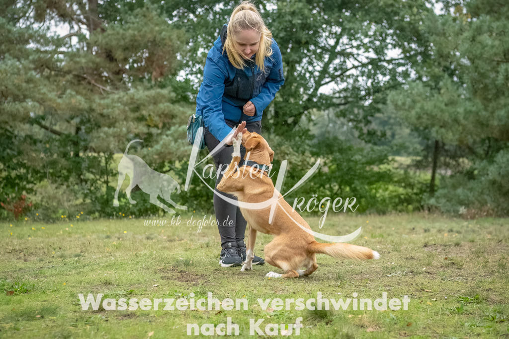 1516_ZZ94701-2-Bearbeitet | kk-dogfotos