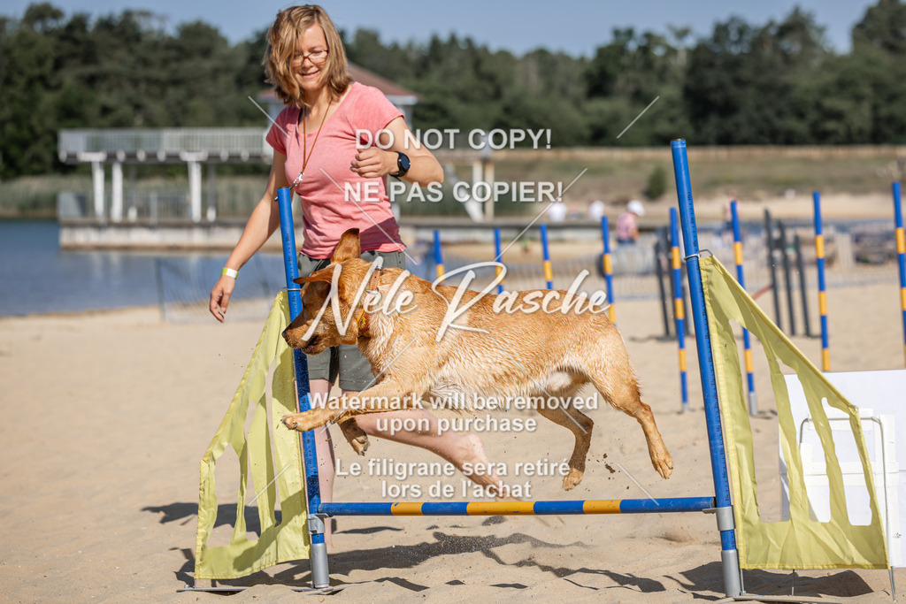 nelerasche_saBeachility_65 | nelerasche