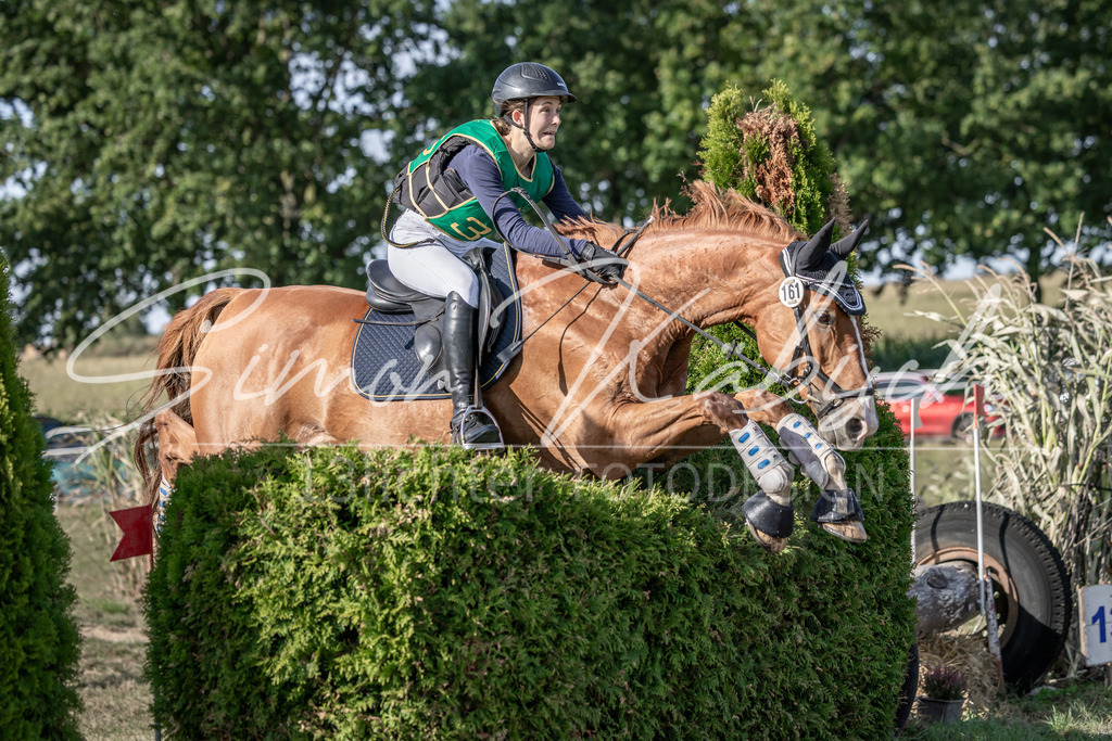 20250907-_3LI3632 | Tierfotografie Pferde, Hunde, Katzen, Haustiere.
Turnierfotografie Reitturniere, Reiten, Springreiten, Dressur in Hanau, dem Main-Kinzig-Kreis und dem Rhein-Main- Gebiet um Frankfurt