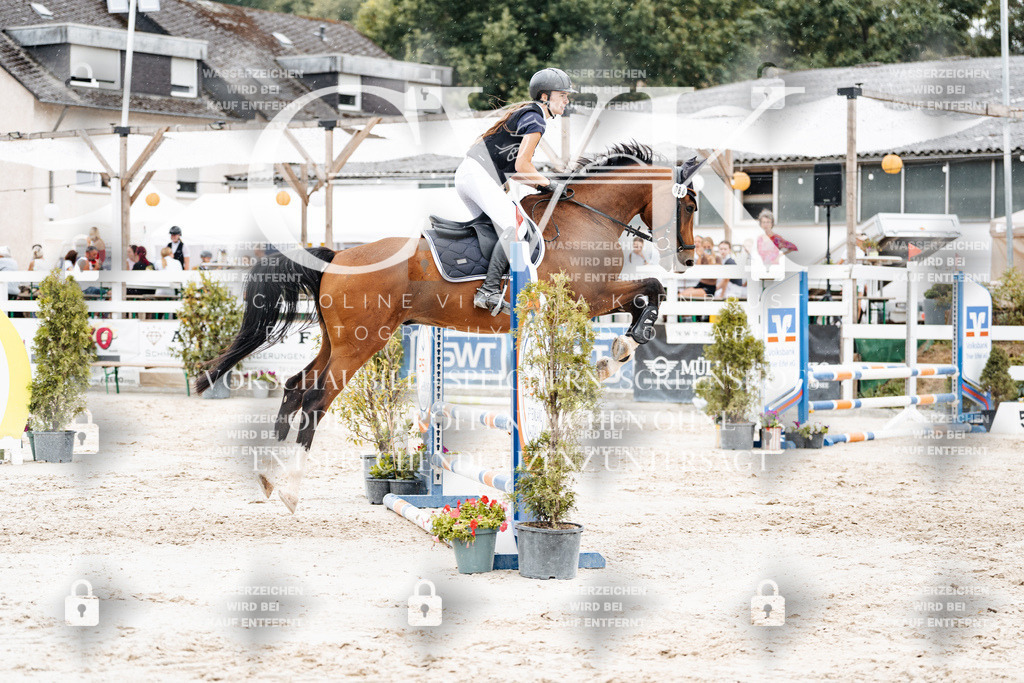 CK908621 | Turnierfotografie Pferdefotografie Trier Rheinland-Pfalz Pferdesport Reitsport Tierfotografie Sportfotografie Pferdevideo Pferdevideografie Equestrianvideography equestrianphotography  - Realisiert mit Pictrs.com