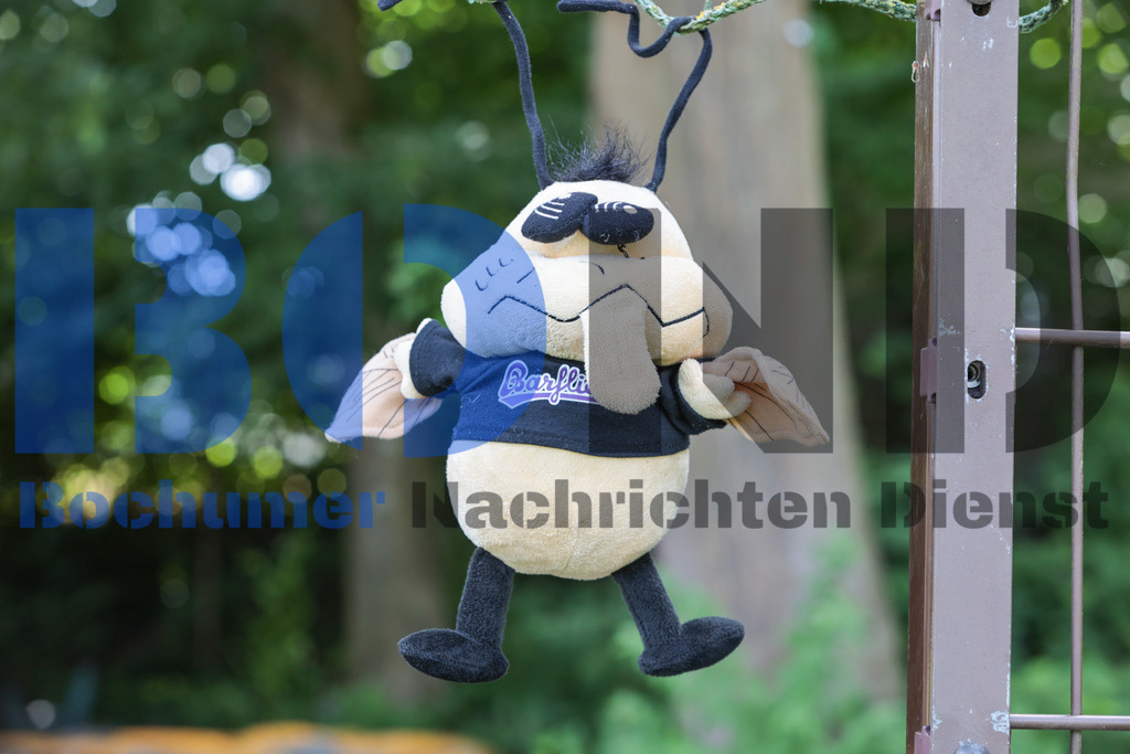 SES_BOCHAG20250629-1 | bond - Realisiert mit Pictrs.com