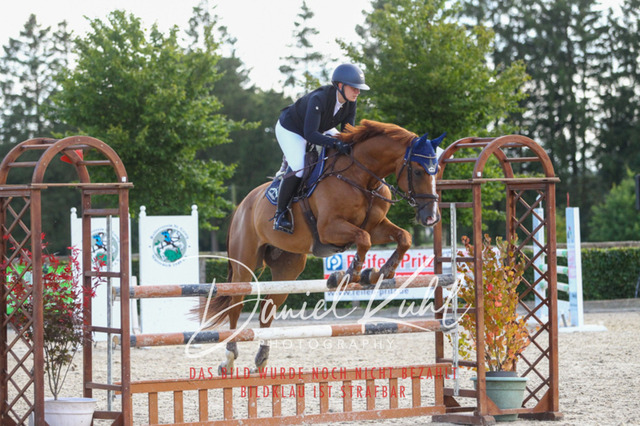 DKP43936 | Turniersportfotografie; Pferdefotografie; Dressurfotografie