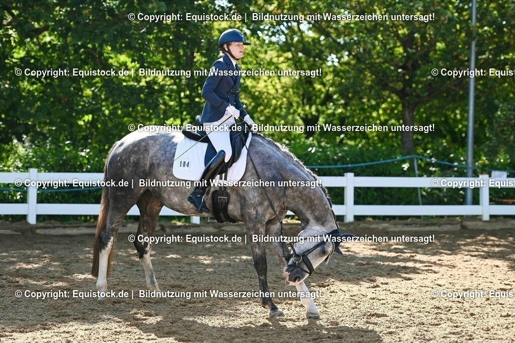 20230715_06_Dressurpferdeprfg. Kl.A_0324 | equistock