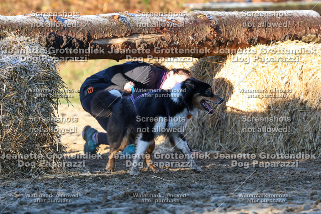 Dog Paparazzi - Strongdog 10-25-707 | Dog Paparazzi Jeanette Grottendiek Fotografie & Videografie - Realisiert mit Pictrs.com