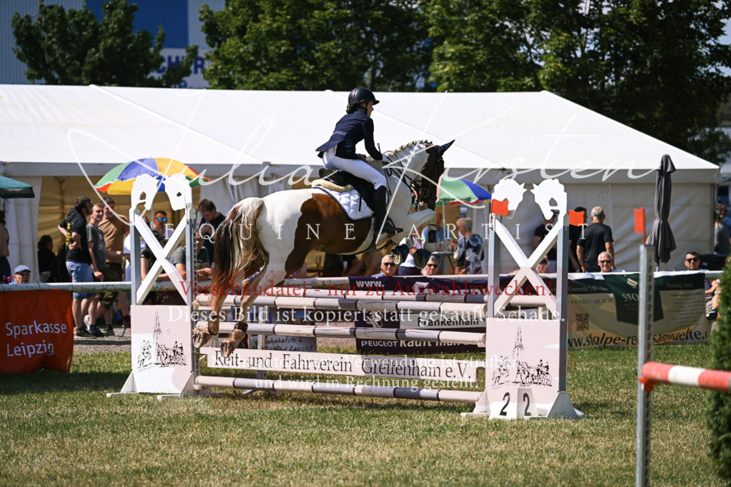 DSC_0337 | Pferde- und Turnierfotografie in Westsachsen. Pferdeportraits, Auftragszeichnungen und intuitive Kunst.