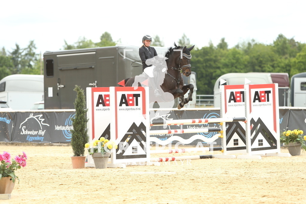 DL2Q1489 | Willkommen bei Brunnmayr - Design & Fotografie – Ihrem Spezialisten für Reitturniere und Pferdeveranstaltungen in Oberösterreich, Salzburg und Bayern! Seit über 17 Jahren sind wir leidenschaftlich dabei.