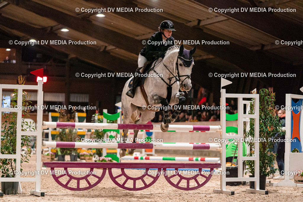 Springen Tag 2-827 | dv-media-shop - Realisiert mit Pictrs.com