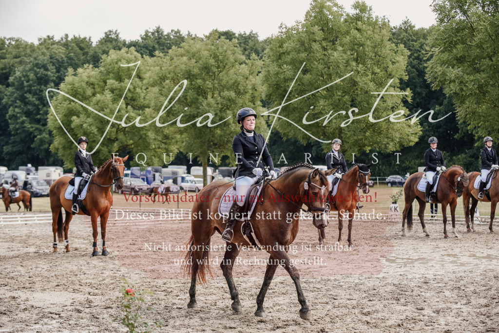 DSC_9332 | Pferde- und Turnierfotografie in Westsachsen. Pferdeportraits, Auftragszeichnungen und intuitive Kunst.