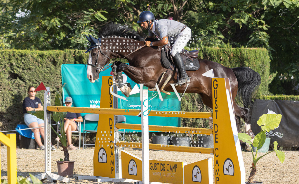 IMG_9574 | s-jay-photography - Realisiert mit Pictrs.com