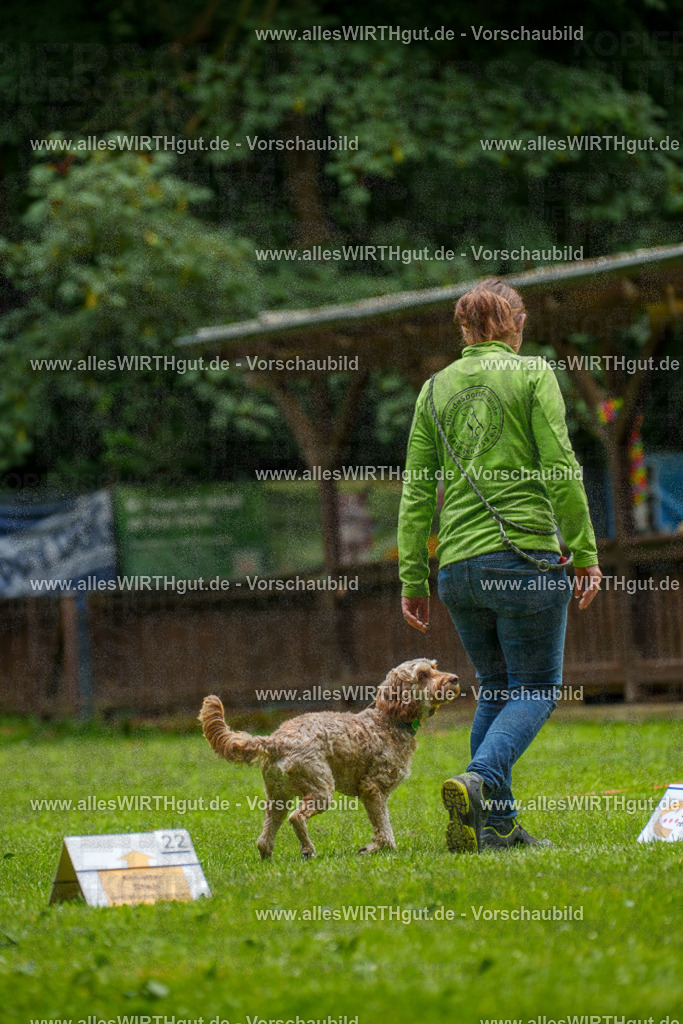 @allesWIRTHgut_Tierfotografie - www.allesWIRTHgut.de - 092321-7R507023 | Professionelle Tierfotografie in Mönchengladbach von Daniel Wirth (allesWIRTHgut). Liebevolle & natürliche Bilder von Hunden & Katzen für unvergessliche Erinnerungen.