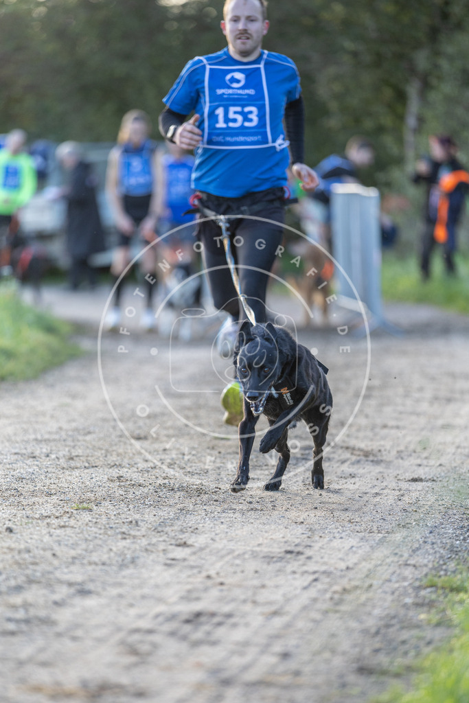 Pfotenfotografie.de_DV3A2706 | Hundefotografie, Tierfotograf, Pfotenfotografie, Fotoshooting Hund, Hunde Portrait, Hundesport, Hundeportraits, Heideshooting, Hunde, Sportfotograf, Hundefotograf, Turnierhundsport, THS, canicross - Realisiert mit Pictrs.com