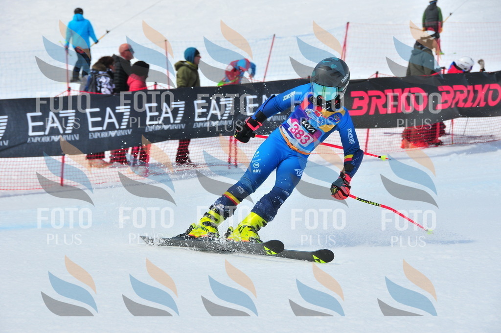 DSC_7240 | holidayphoto