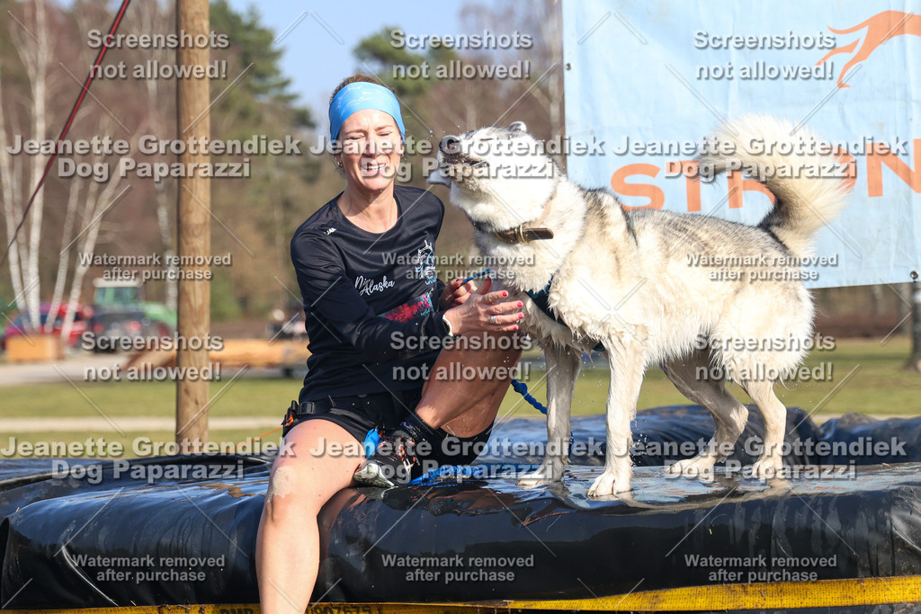 Dog Paparazzi - Strongdog North Mrz26-3322 | Dog Paparazzi Jeanette Grottendiek Fotografie & Videografie - Realisiert mit Pictrs.com