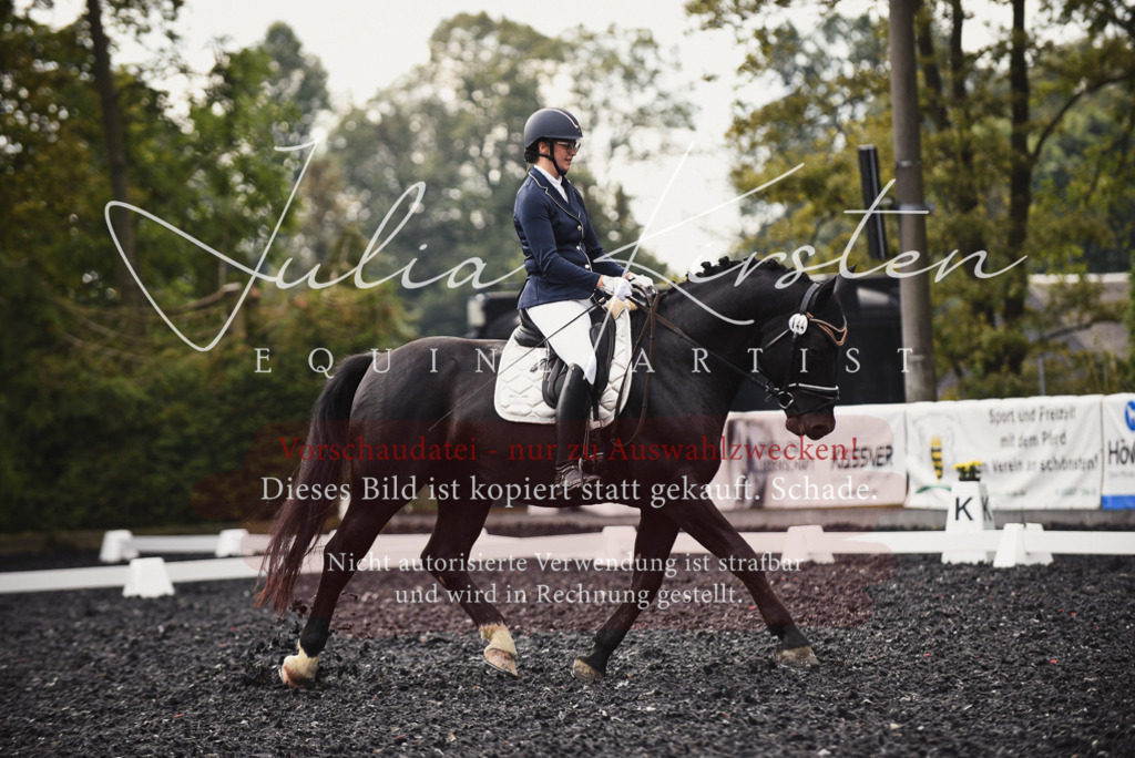 DSC_3767 | Pferde- und Turnierfotografie in Westsachsen. Pferdeportraits, Auftragszeichnungen und intuitive Kunst.